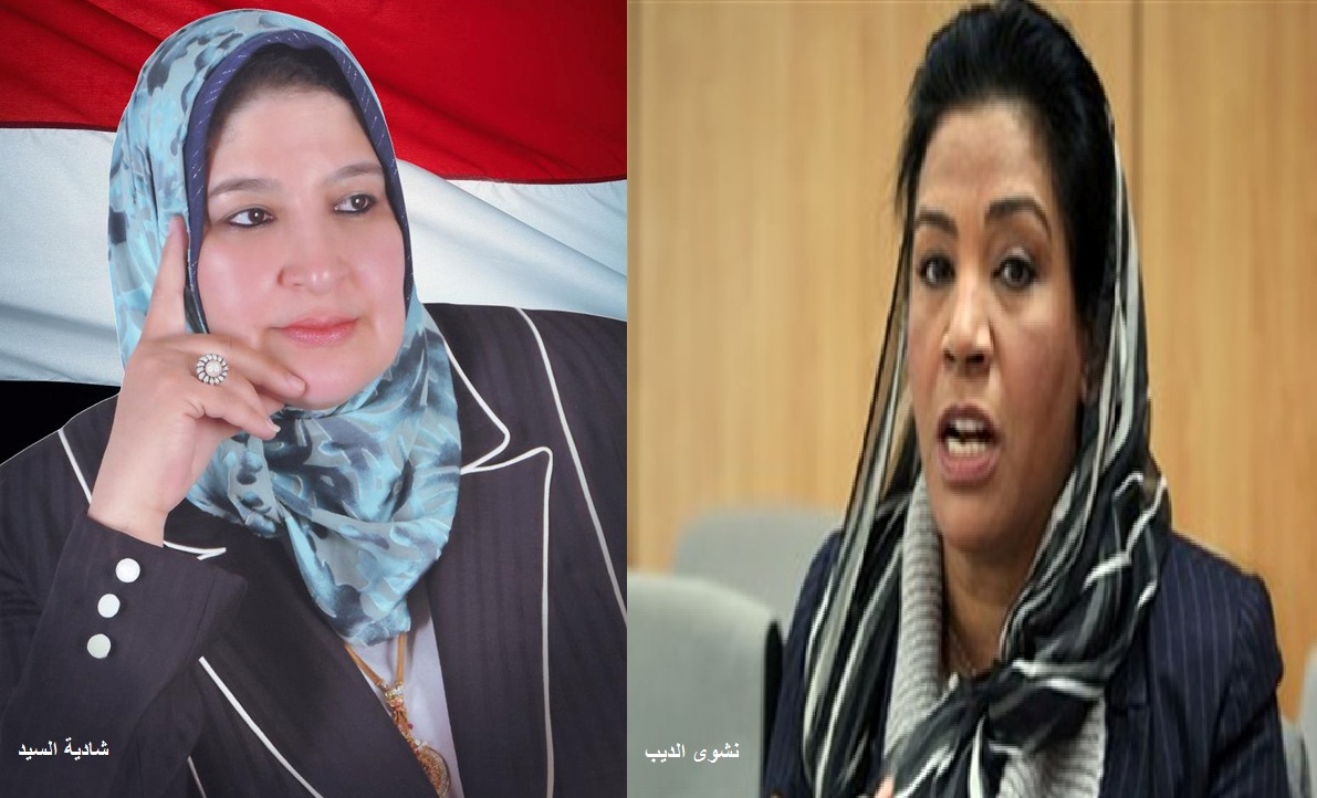 نشوى الديب تطالب بإحالة شادية ثابت إلى لجنة القيم بمجلس النواب