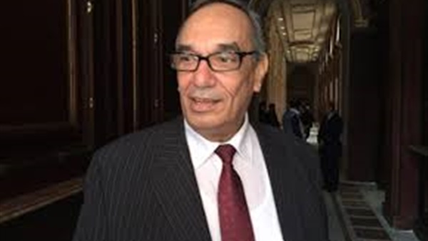 كدواني: تطوير الجيش المصري خلال 1000 يوم من حكم السيسي