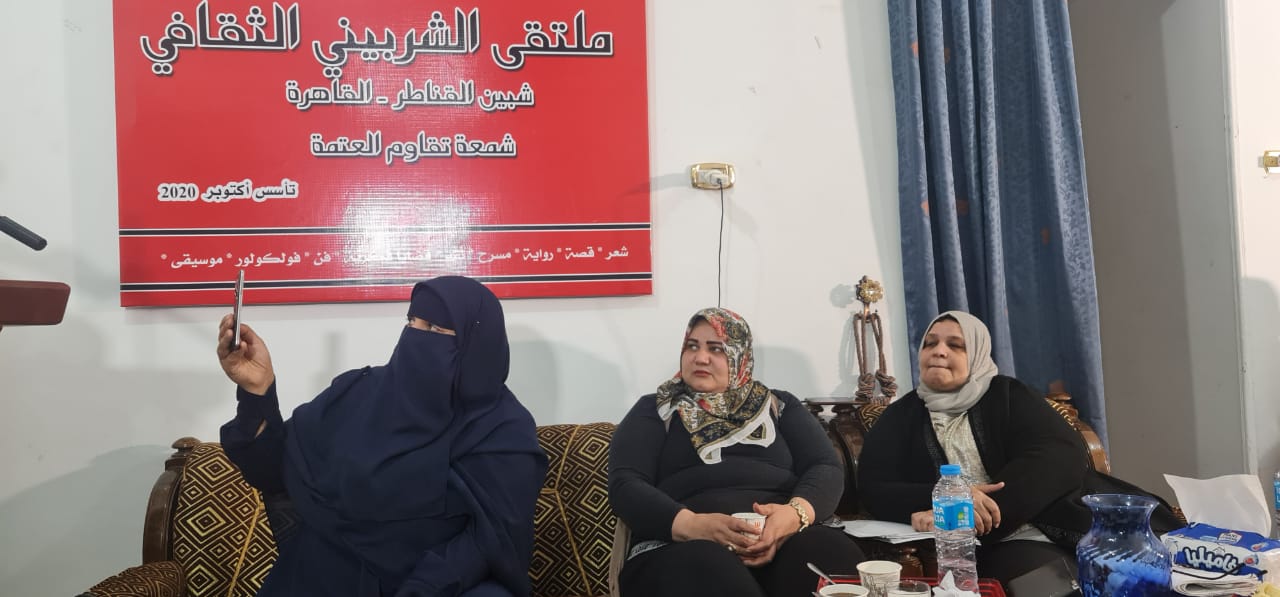 ملتقي الشربيني الثقافي.. تلات ورقات تعيد السؤال للواجهة.. الفن لمن؟ للتعبير أم للتغيير؟