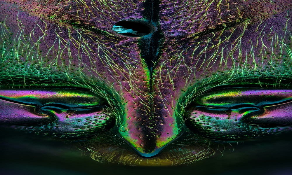 مصور إماراتي يكشف بعدسته العالم الاخر