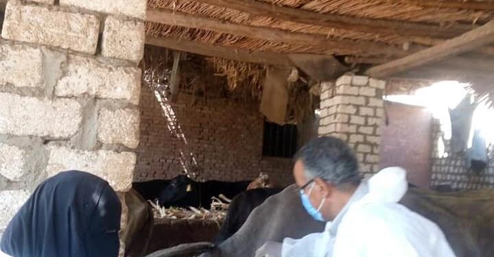  انطلاق الحملة القومية لتحصين المواشي ضد الحمى القلاعية والوادي المتصدع 