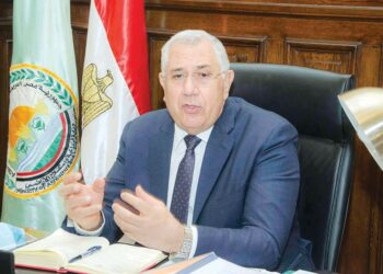 بيض المائدة