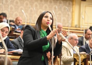 المواني المصرية