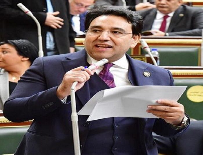 الدولة المصرية