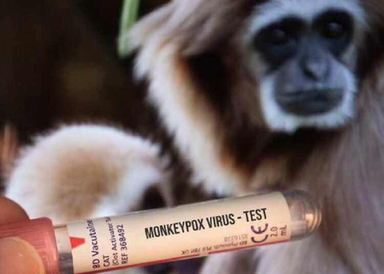 جدري القردة