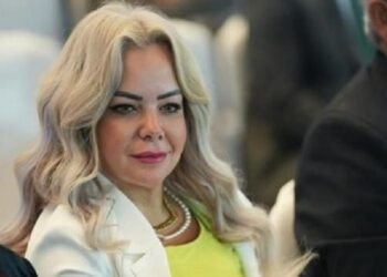 الدولة المصرية