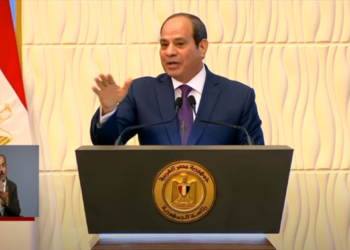 شركات قطاع الأعمال