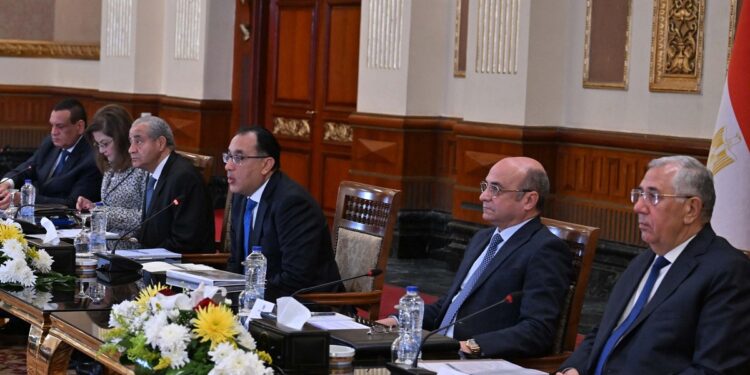 مدبولي يوجه بتشكيل مجموعة عمل مُصغرة في كل محافظة لمتابعة توافر السلع بالأسواق