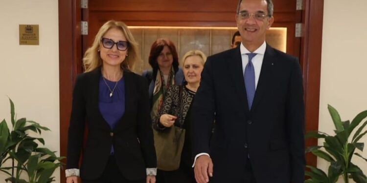 وزير الاتصالات يبحث مع وزيرة الابتكار والنمو ببلغاريا فتح آفاق للتعاون المشترك