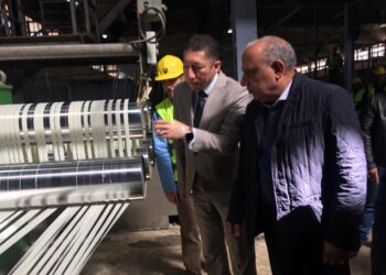 وزير قطاع الأعمال