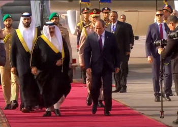 الرئيس السيسي