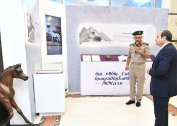 الرئيس السيسي