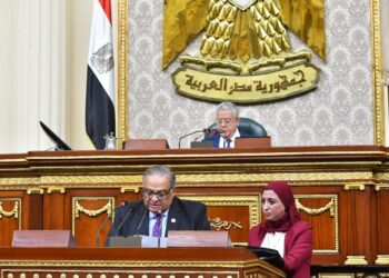 المحاكم الاقتصادية