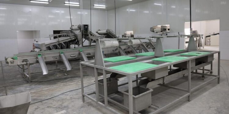 الفريق أسامة ربيع: بدء التشغيل التجريبي لمصنع تعبئة وتغليف الأسماك الشهر القادم 