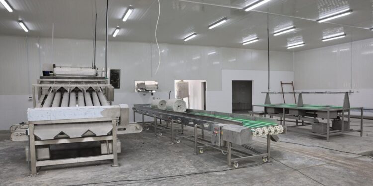 الفريق أسامة ربيع: بدء التشغيل التجريبي لمصنع تعبئة وتغليف الأسماك الشهر القادم 