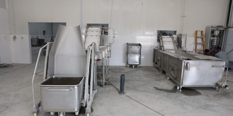 الفريق أسامة ربيع: بدء التشغيل التجريبي لمصنع تعبئة وتغليف الأسماك الشهر القادم 