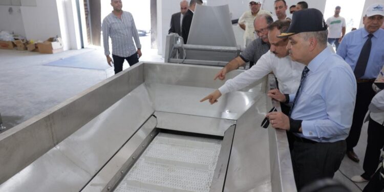 الفريق أسامة ربيع: بدء التشغيل التجريبي لمصنع تعبئة وتغليف الأسماك الشهر القادم 