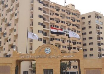 التنظيم والإدارة