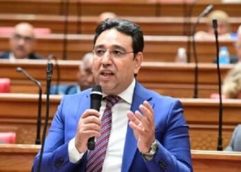 العلاقات المصرية البرازيلية