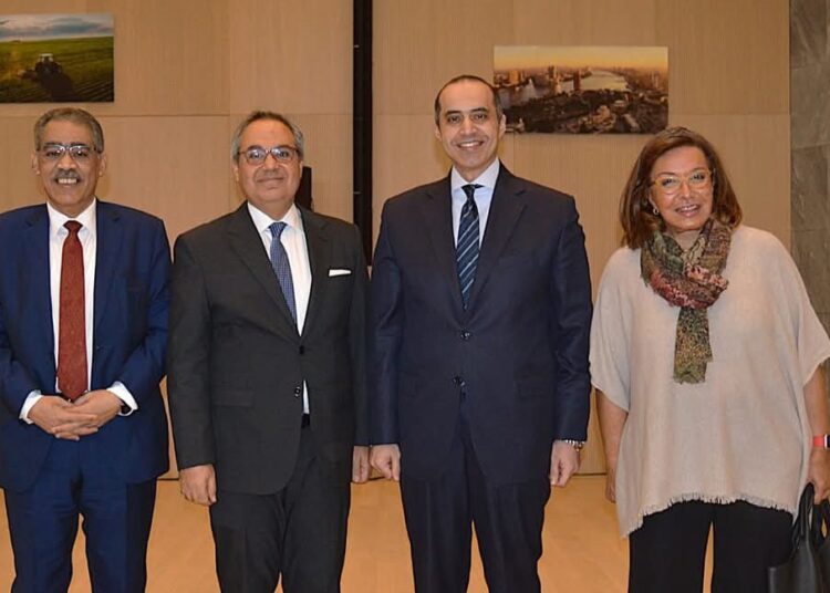 فوزي ورشوان يستعرضان جهود تعزيز المشاركة السياسية وحقوق الإنسان في مصر  