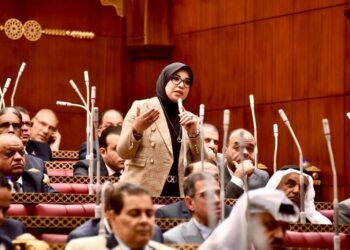 دينا هلالي: مصر تواجه تحديات مستمرة والشائعات سلاح يستخدمه أعدائها للتلاعب بالرأي العام 2 مصر