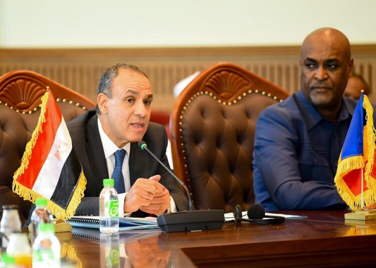 وزير الخارجية يؤكد على عمق العلاقات التاريخية التي تجمع مصر وتشاد 