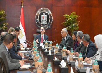 وزير الاستثمار