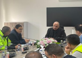 مشروع المحطة النووية بالضبعة