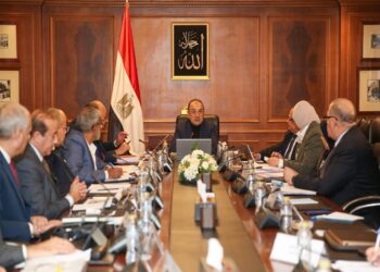 وزير قطاع الأعمال