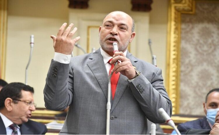 حسن المير: القمة المرتقبة.. موقف عربي موحد لدعم القضية الفلسطينية