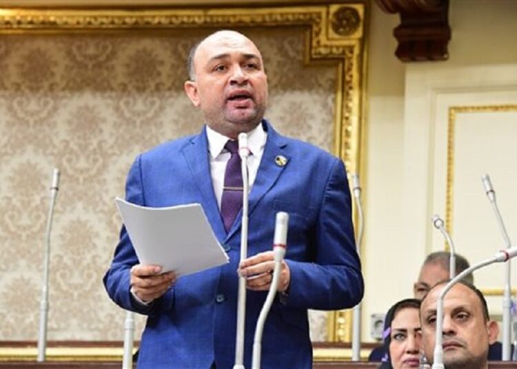 النائب أحمد أبو زيد