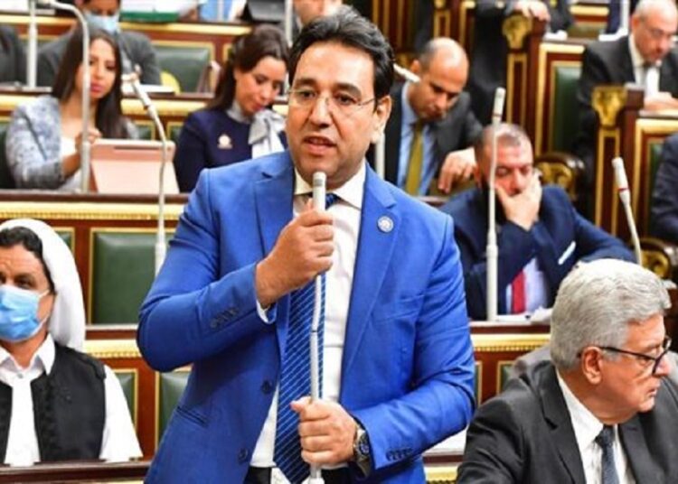 أيمن محسب: جهود دبلوماسية مكثفة لإعادة إعمار غزة وتحقيق الاستقرار