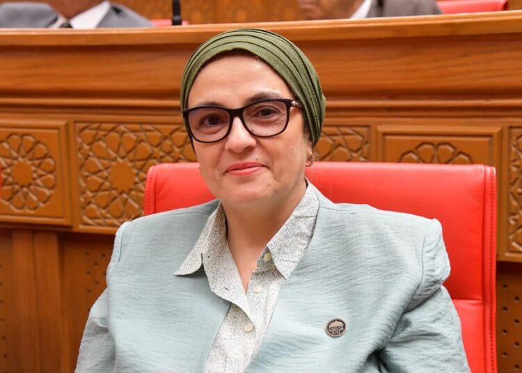 المساعدات التموينية