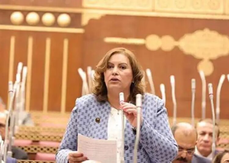 الحماية الاجتماعية