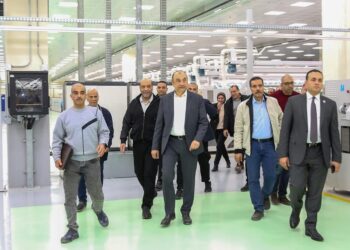 وزير قطاع الأعمال