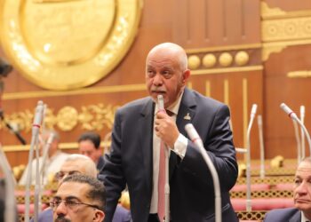 الحوافز الجمركية