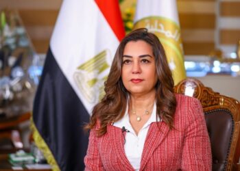 التنمية المحلية