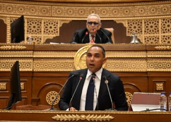 النظام الجمركي المصري