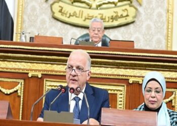 ياسمين فؤاد