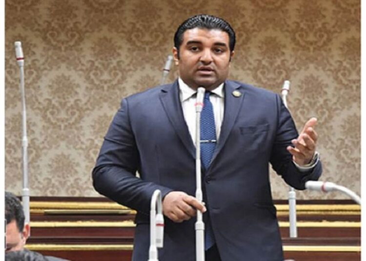 الكلاب الضالة