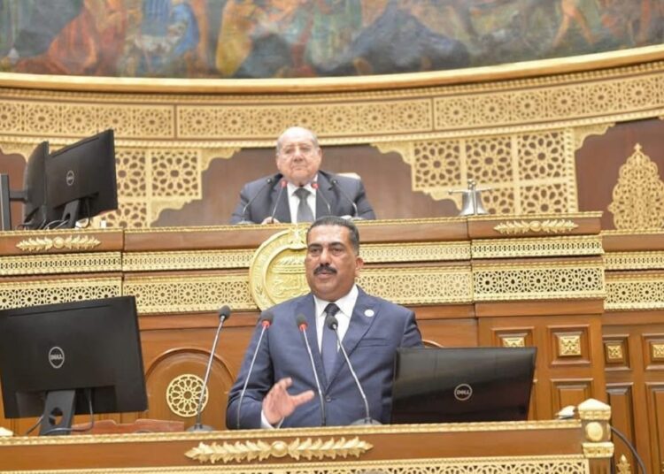 هشام سويلم: السياسة الخارجية المصرية.. حكمة واتزان برؤية استراتيجية