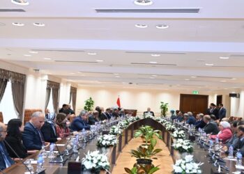 الدبلوماسية المصرية