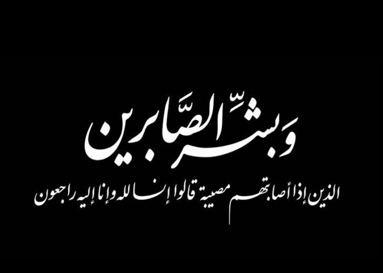 المستشار عصام الدين أبو العلا