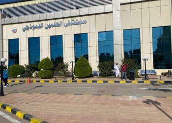 السال الشمالي