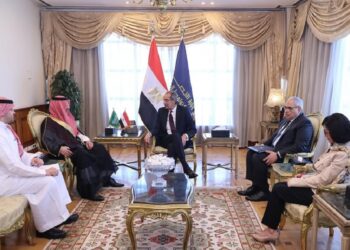 التعاون المصري السعودي