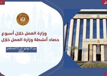 حصاد أنشطة وزارة العمل.. جهود مكثفة لدعم السوق وتطوير المهارات خلال الأسبوع الماضي