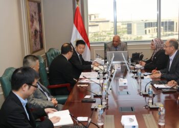 وزير الكهرباء