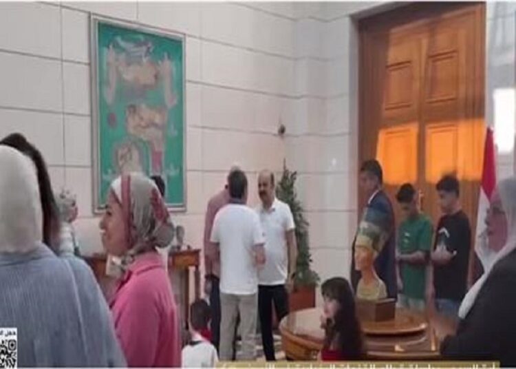 مجلس الشيوخ