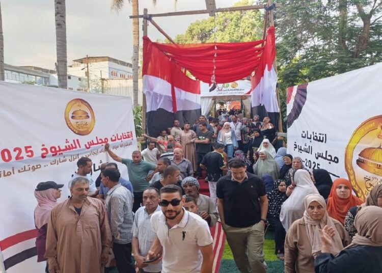 انتخابات مجلس الشيوخ