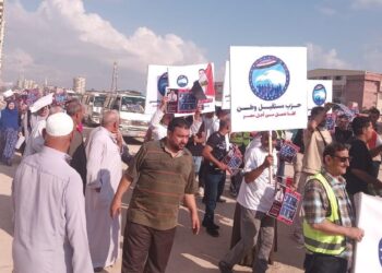 انتخابات مجلس الشيوخ